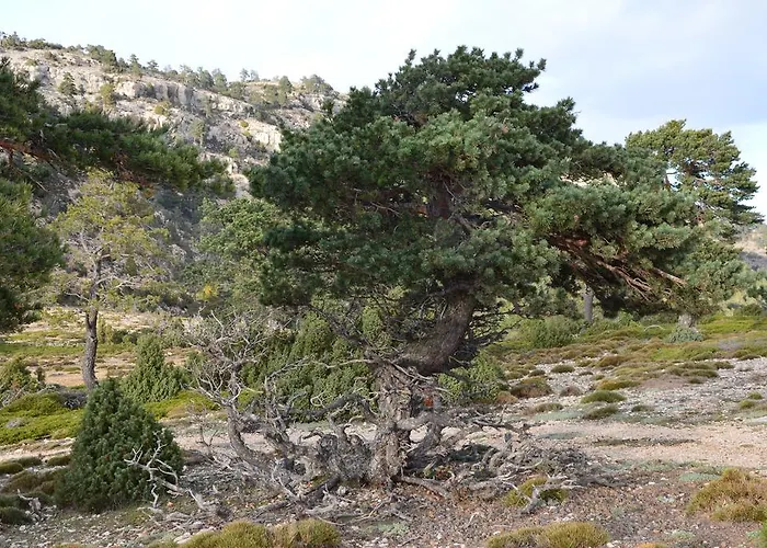 Vivienda Salvia Apartamento